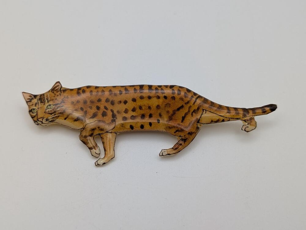 Vintage MB Designs Signed Whiskers Bengal Cat Resin Brooch Pin Hand Painted USA